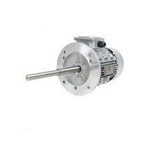 定制加長軸電機